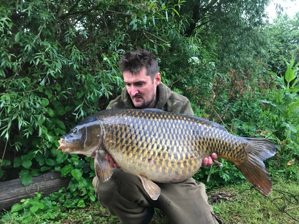 Monster Carp caught with Prime Baits Bait primed and ready bait for fishing in UK lakes in England located in Devon Plymouth