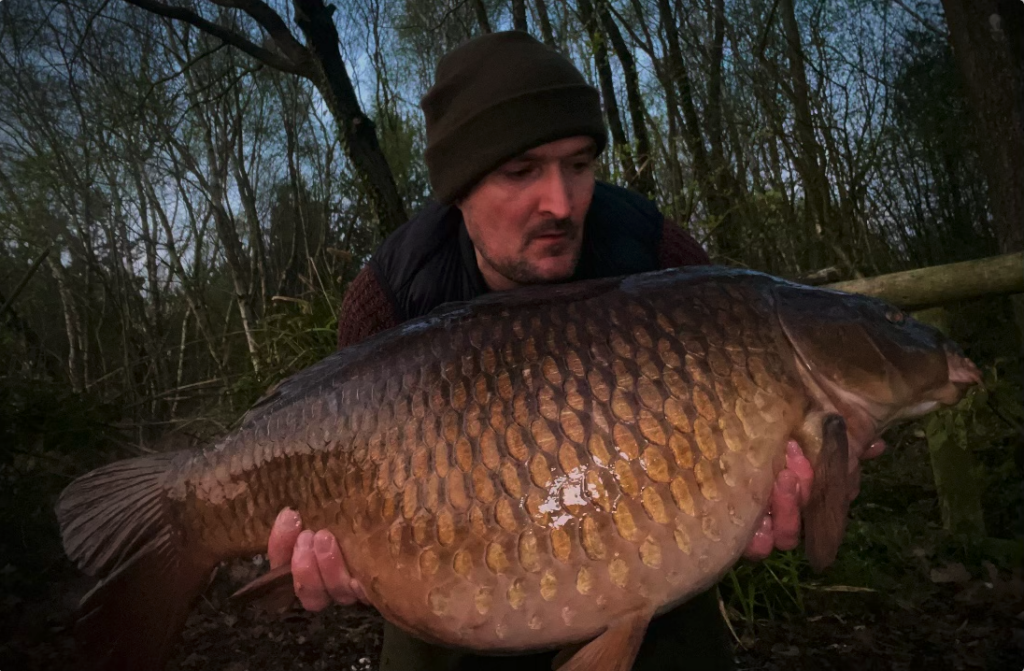Huge Carp caught with Prime Baits Bait primed and ready bait for fishing in UK lakes in England located in Devon Plymouth